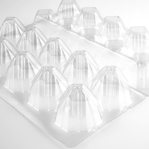 EGG PACKAGING (245mm x 110mm x 68mm)