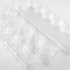 EGG PACKAGING (290mm x 122mm x 53mm)