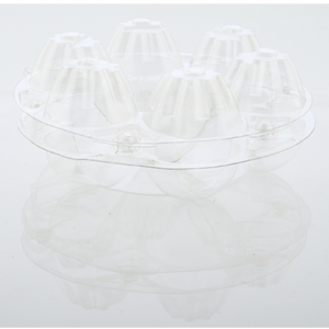 EGG PACKAGING (150mm x 65mm)