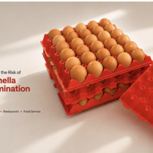 EGG PACKAGING (292mm x 292mm x 45mm)